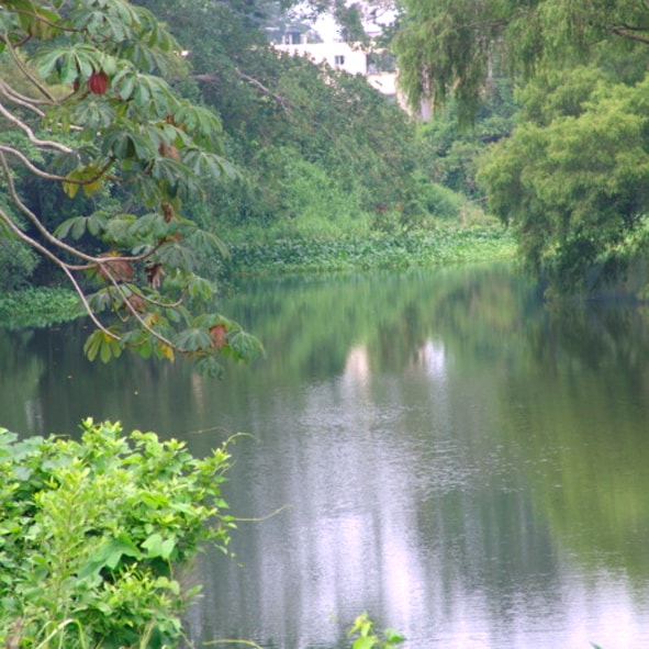 Visitar el Río Jamapa – VERACRUZ, MARAVILLAS NATURALES